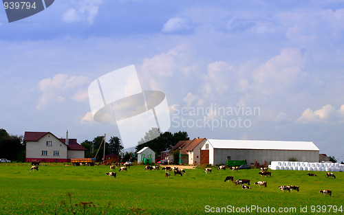 Image of Lithuanian farmer's homestead