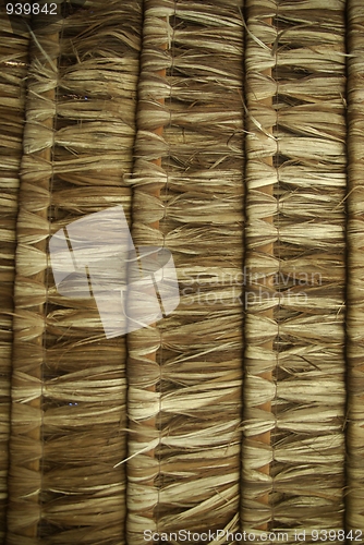 Image of palm leaf roof