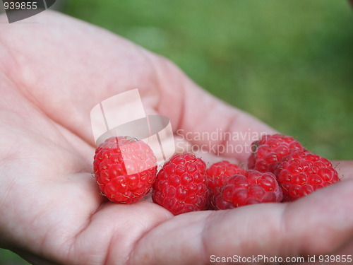 Image of Raspberries