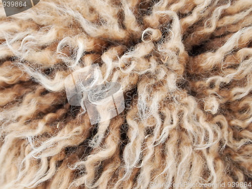 Image of Sheep Wool 
