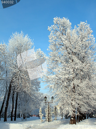 Image of snow winter park under blue sky