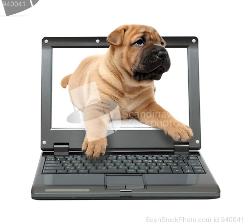 Image of small laptop with puppy dog