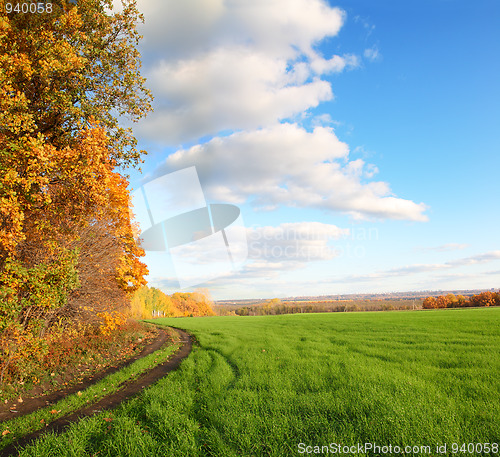 Image of autumn landscape with green field