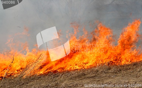 Image of big red fire in field