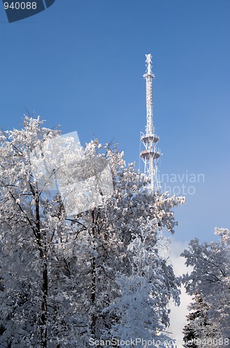 Image of television antenna and trees