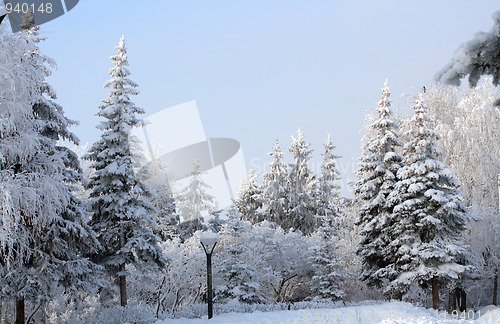 Image of snow winter park