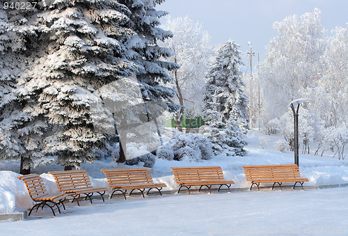 Image of benchs in snow winter park