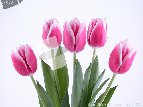 Image of five
