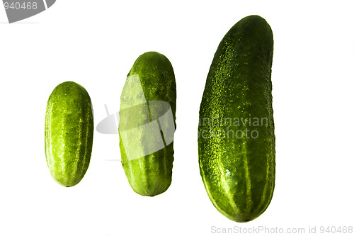Image of Different cucumbers