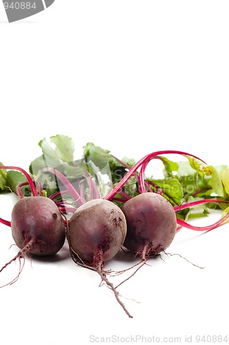 Image of Beet