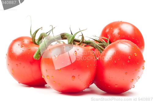 Image of Tomatoes