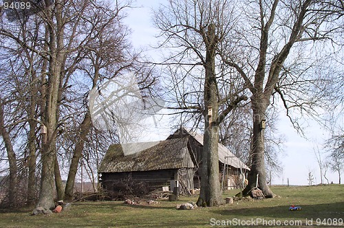 Image of Landscape