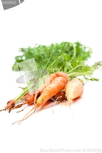 Image of Carrot