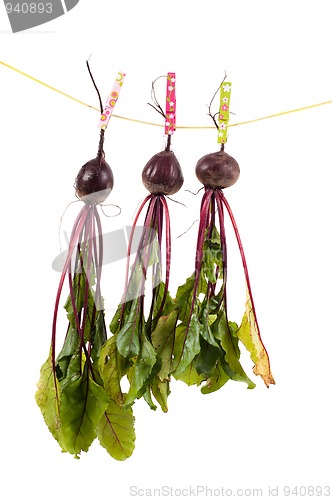 Image of Hanging beet