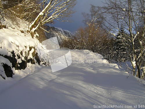 Image of Norwegian winter landscape