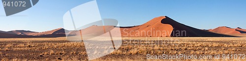 Image of red dunes of sossusvlei