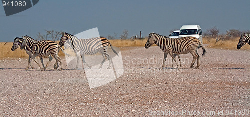 Image of Etosha National Park, Namibia