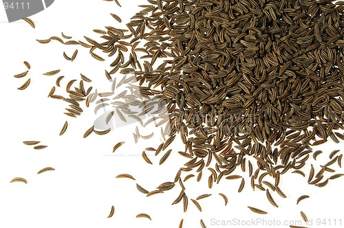 Image of Ceraway seed