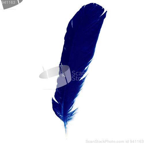 Image of Feather