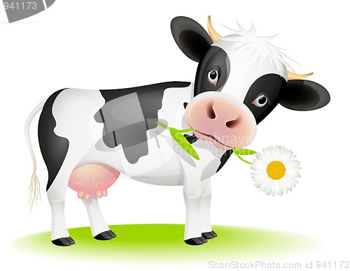 Image of Little cow eating daisy