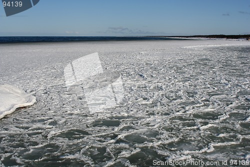 Image of Winter Scene