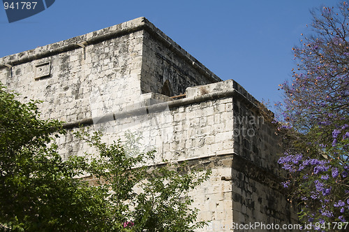 Image of historic Limassol Lemessos Castle flowering shrub plant Cyprus M