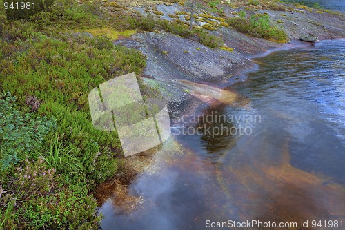 Image of Norwegian woods