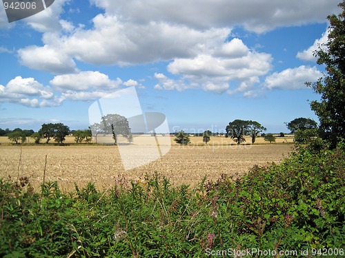 Image of Autumn Scene