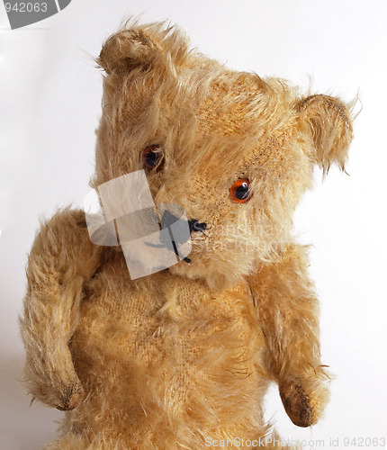 Image of 1950 teddy bear