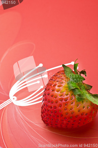 Image of single fresh red strawberry on red background