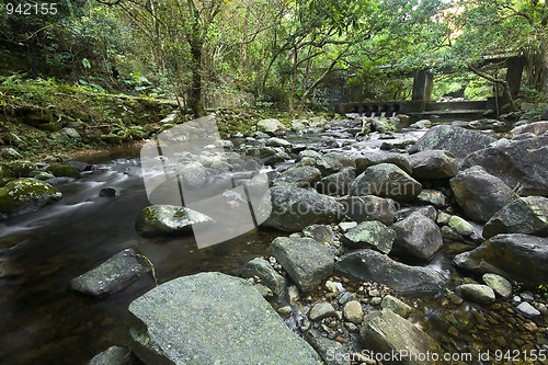 Image of Cascade falls over mossy rocks