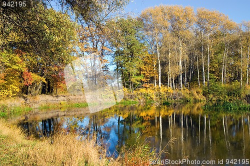Image of Autumn forest and river