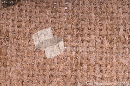 Image of Jute