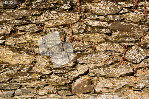 Image of Castle wall