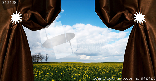 Image of Beautiful rapeseed field