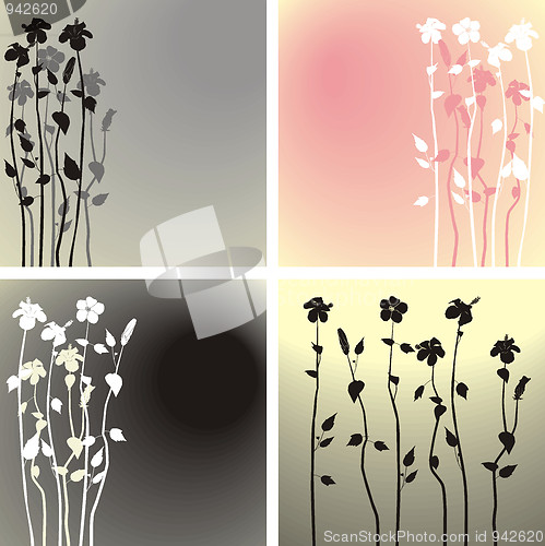 Image of Hibiscus flowers background