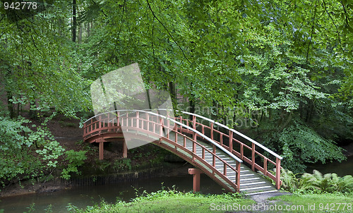 Image of Footbridge in the park