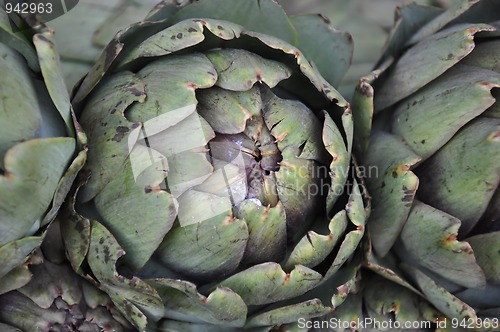 Image of artichokes