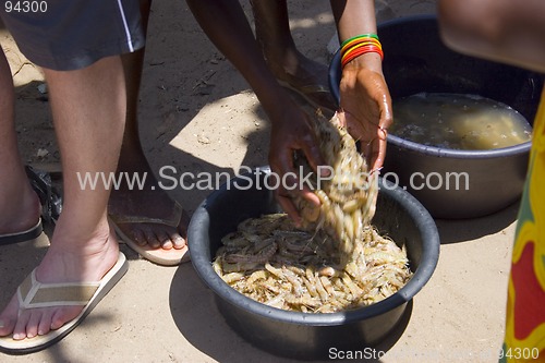 Image of Washing prawns in rural market