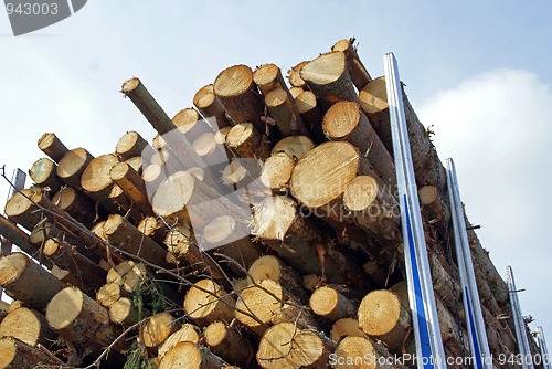 Image of Energy Wood on Logging Truck Trailer