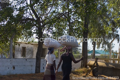 Image of African ladies carrying wood on heads