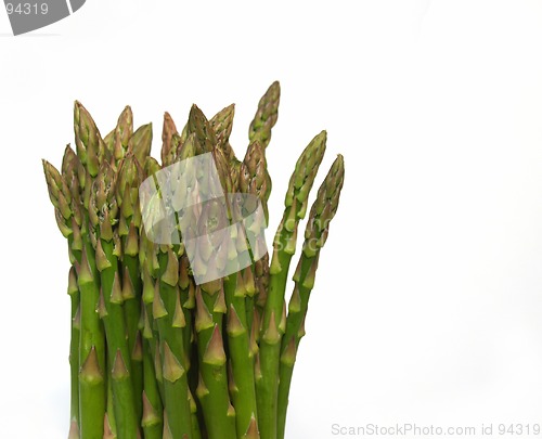 Image of asparagus bunch