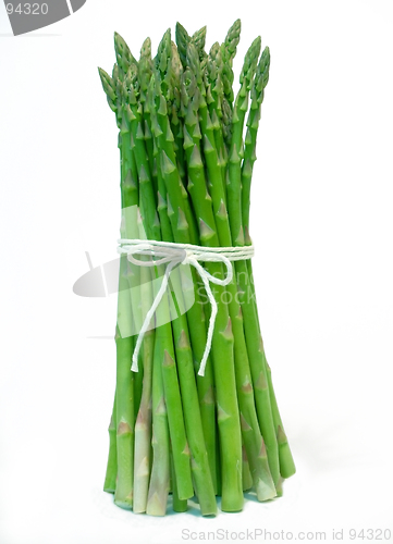 Image of asparagus bunch - tied