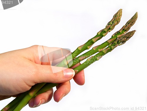 Image of asparagus spears in hand