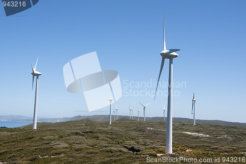 Image of Albany: windmill park