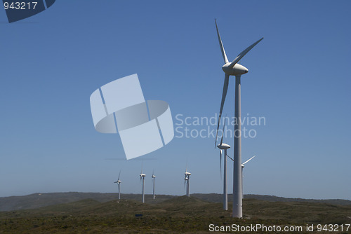 Image of Albany:  row of windmills