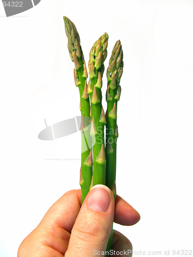 Image of asparagus spears in hand