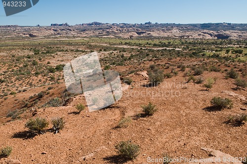 Image of Desert