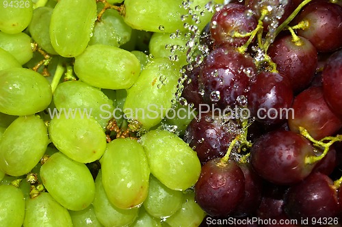 Image of rinsing green and red grapes