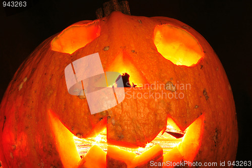 Image of halloween pumpkin